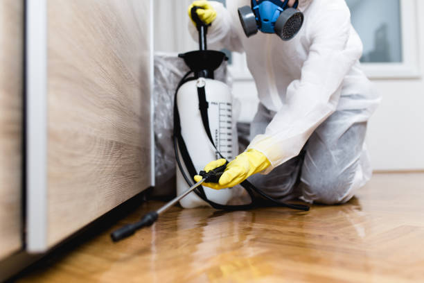 Best Pest Control Treatment  in USA